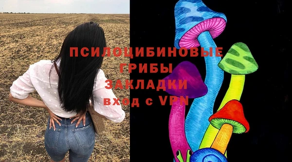 герыч Верхний Тагил