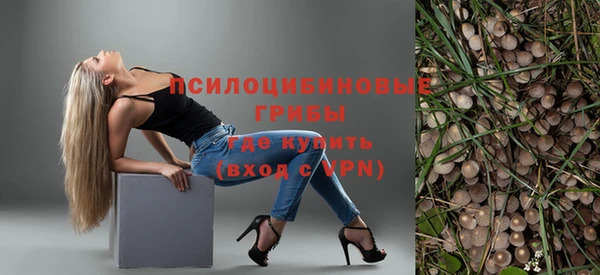 герыч Верхний Тагил