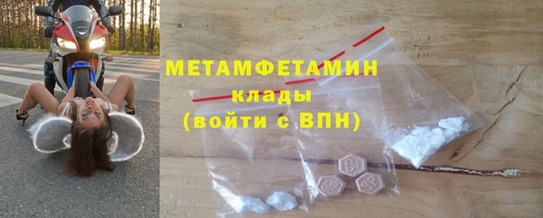 индика Бронницы