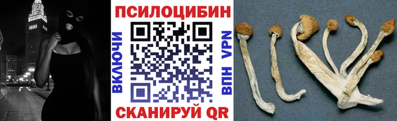 Галлюциногенные грибы Cubensis Шебекино